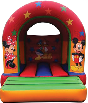 Disney Bouncy Castle